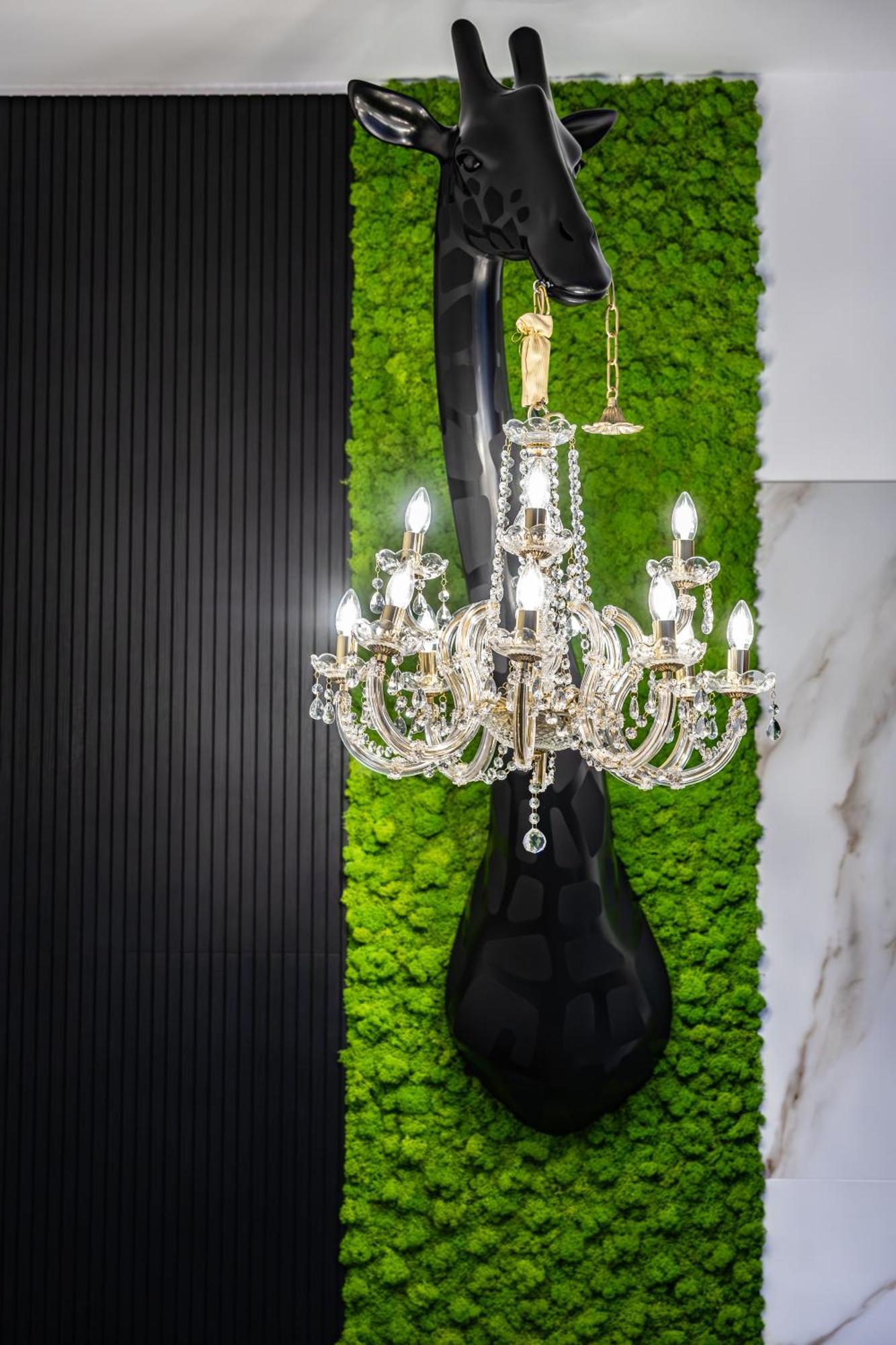Adamas Apartment , Rooms And Suite ตราปานี ภายนอก รูปภาพ
