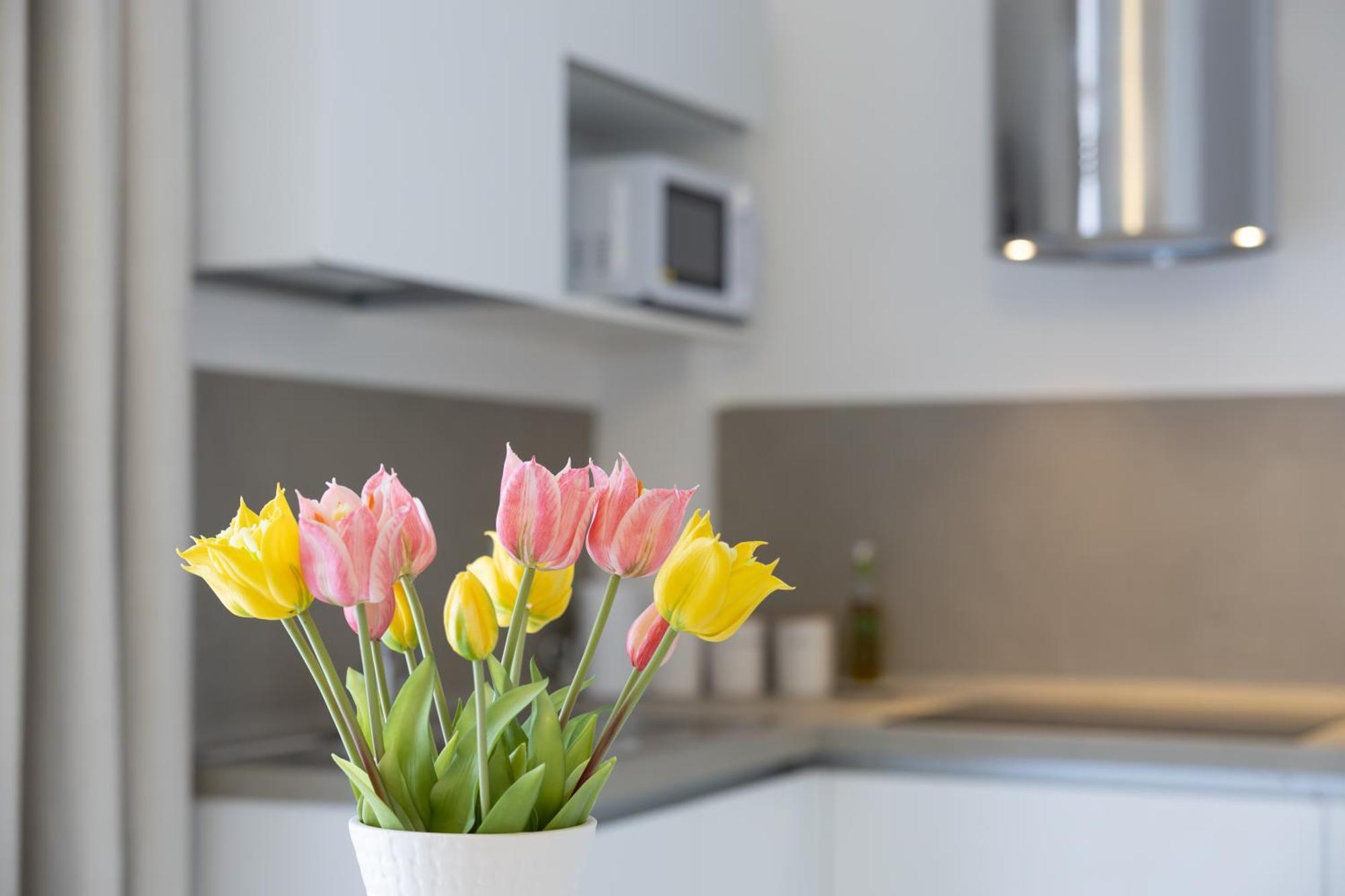 Adamas Apartment , Rooms And Suite ตราปานี ภายนอก รูปภาพ